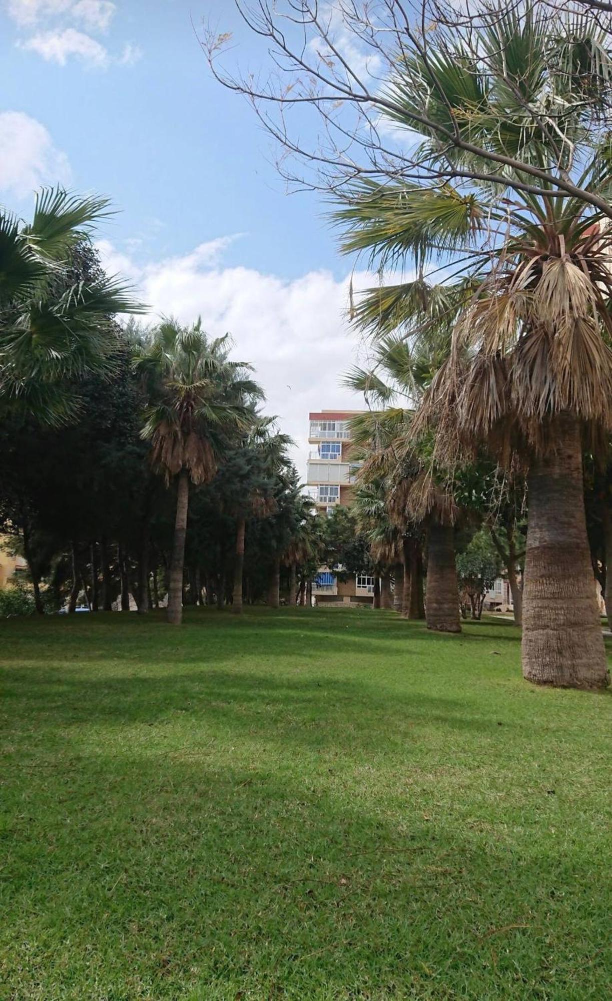 Hercules Paradise 531 Apartamento Con Vistas Al Mar Mediterraneo En Benalmadena A Pasos Del Centro Y Su Vibrante Zona Comercial Disfruta De Una Experiencia Unica En La Costa Del Sol Malaga Andalucia Well-Connected To The Airport Ngoại thất bức ảnh
